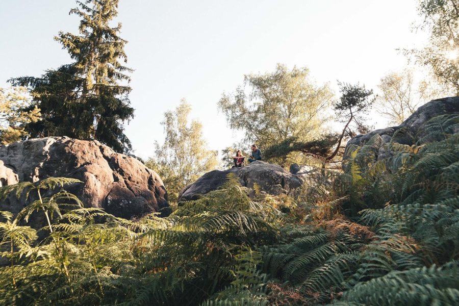 Les rochers de Fontainebleau